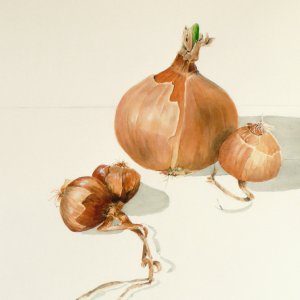 Gemüse